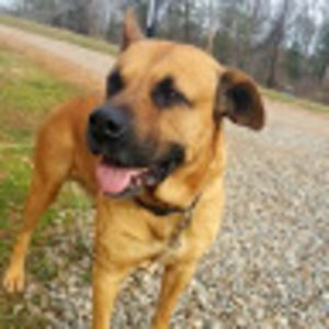 Meet your Posher, Christian